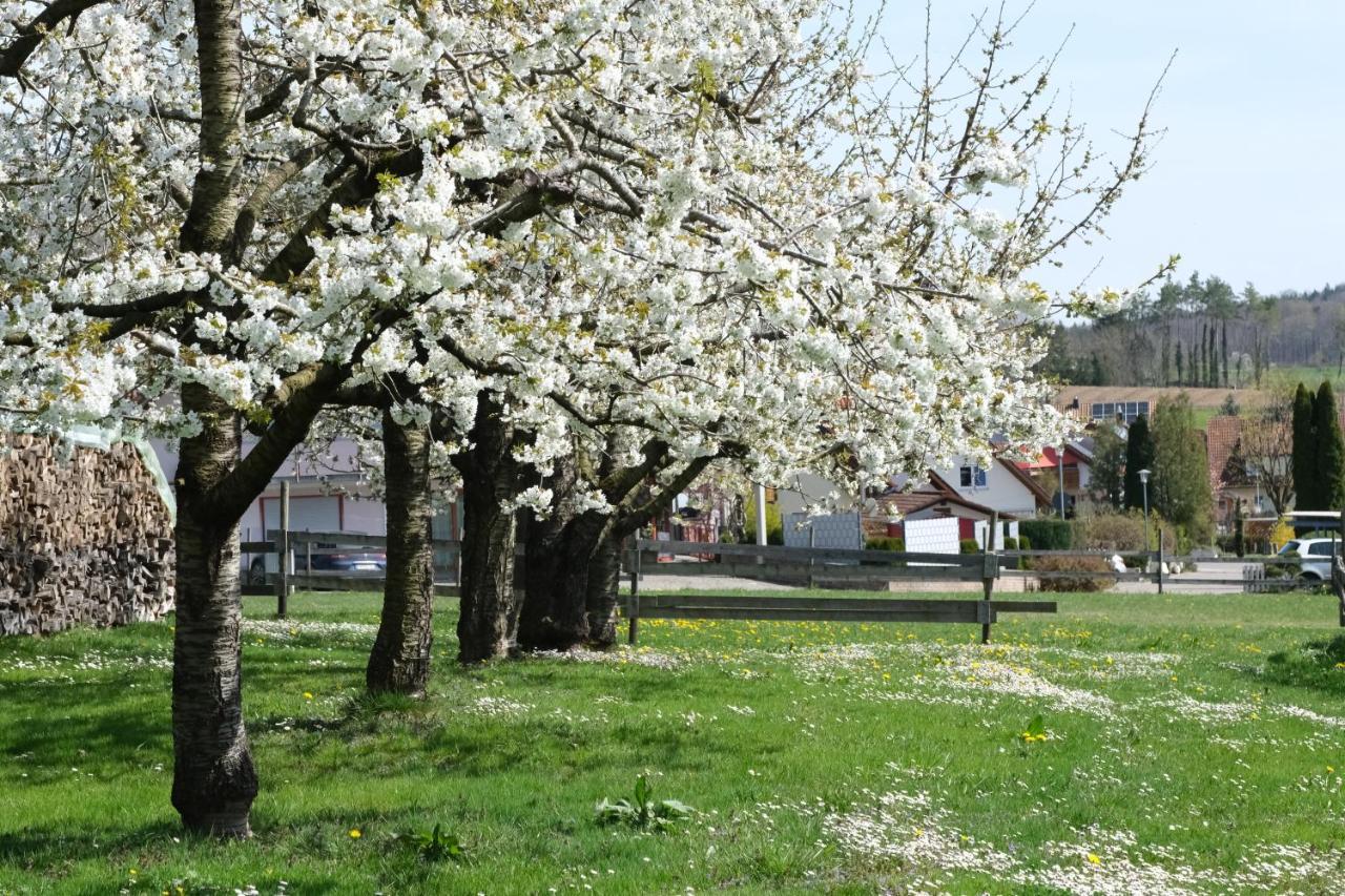 Ferienhof Schwehr Salem  Εξωτερικό φωτογραφία